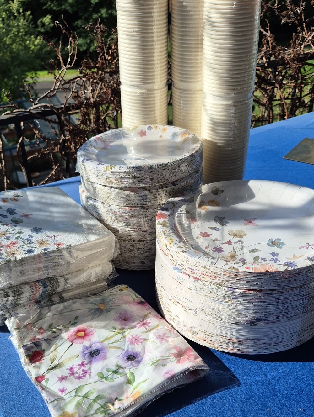 Garden Party Tableware Bundle -- 🍽 Paper Products for up to 150 Guests 🍽 ! NEW